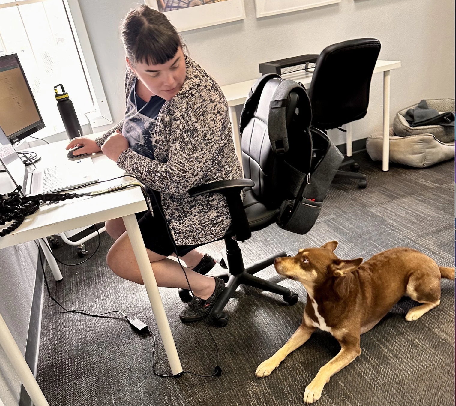 Work and Woof dog-friendly coworking space in South Austin with a person working at a desk alongside their dog