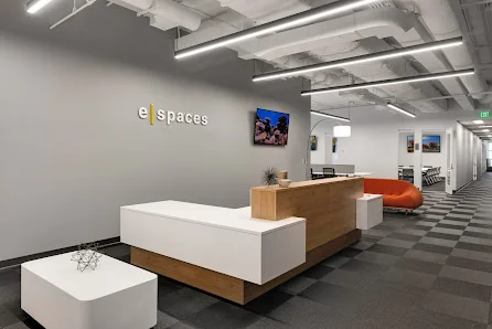 eSpaces Orlando sleek gray reception area with angular white and wood desk and checkered carpet
