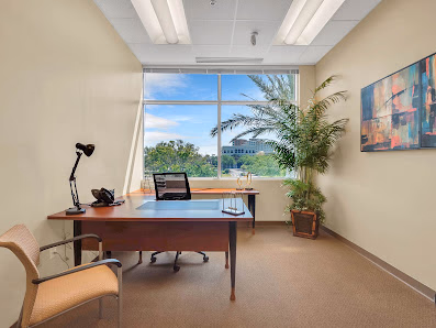 YourOffice Lake Mary private executive office with large wooden desk, palm tree window view, and abstract art