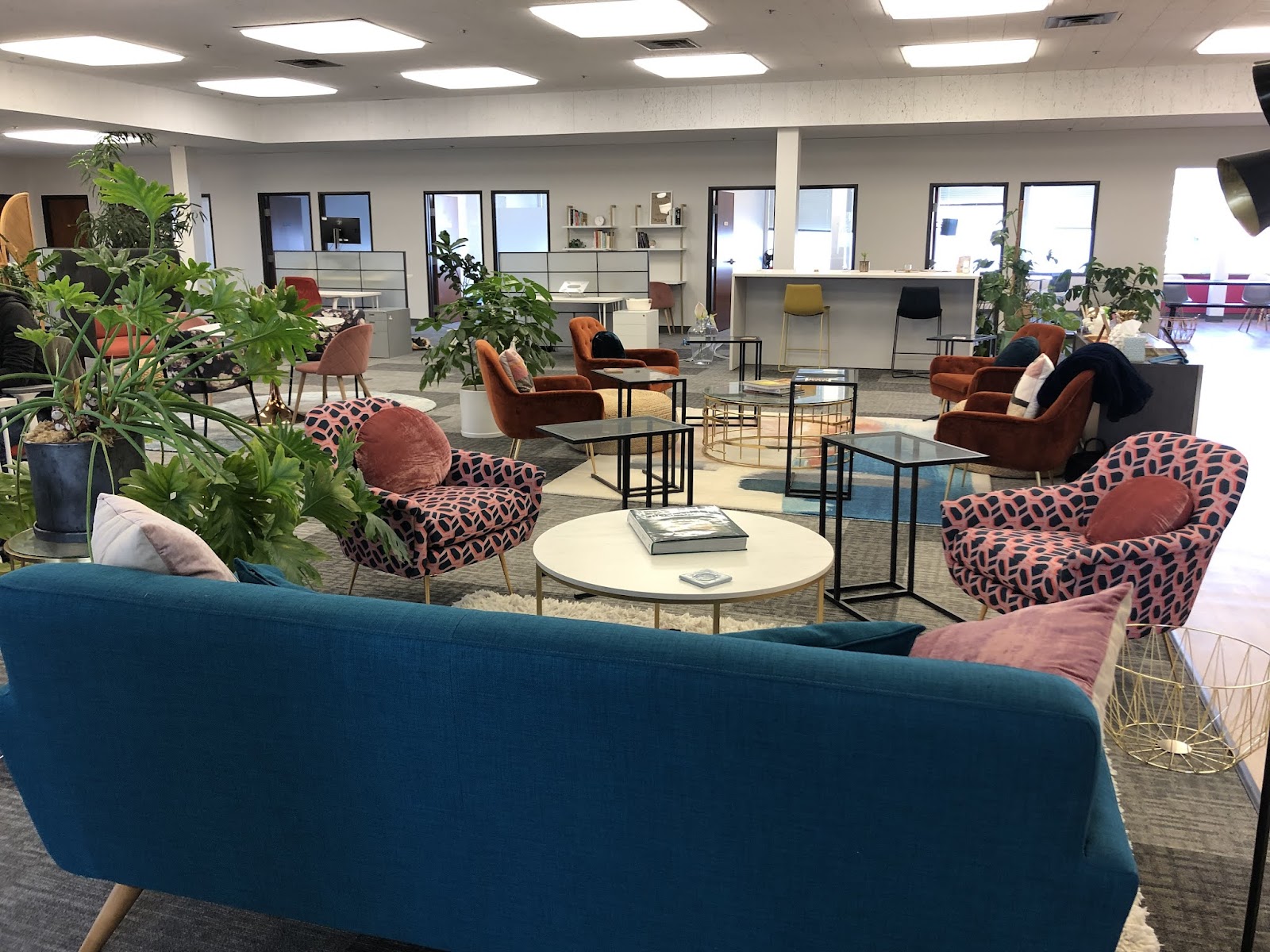 VIDA Coworking colorful lounge with teal sofa, pink-and-black patterned accent chairs, rust velvet armchairs, lush indoor plants, and modern eclectic decor