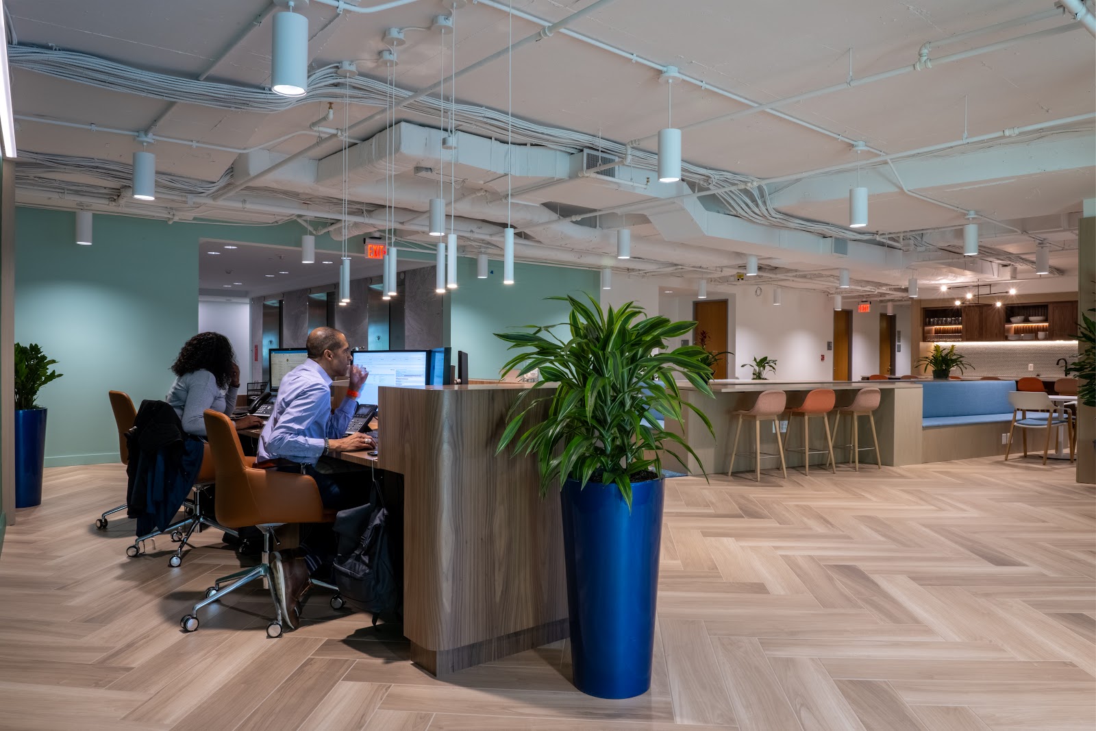 Carr Workplaces K Street open office with mint green walls, herringbone wood floor, blue planters and pendant lights